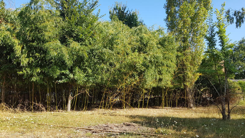 Terrain constructible - 784 m²