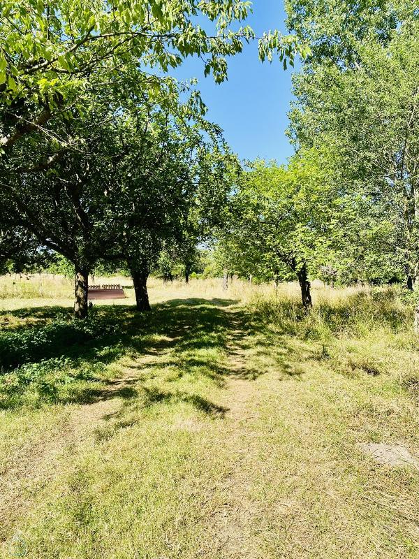 Maison normande - 156 m² - 6 pièces