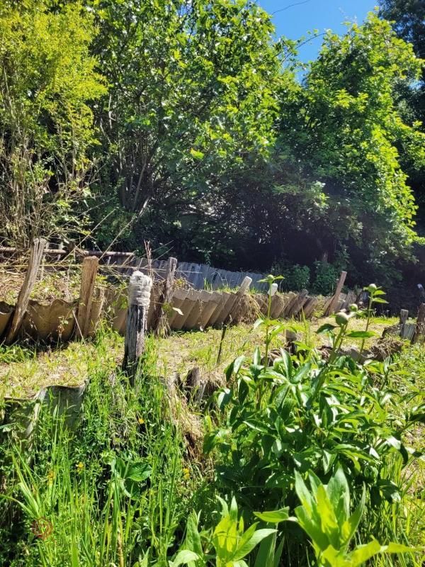 Maison - 96 m² - 6 pièces