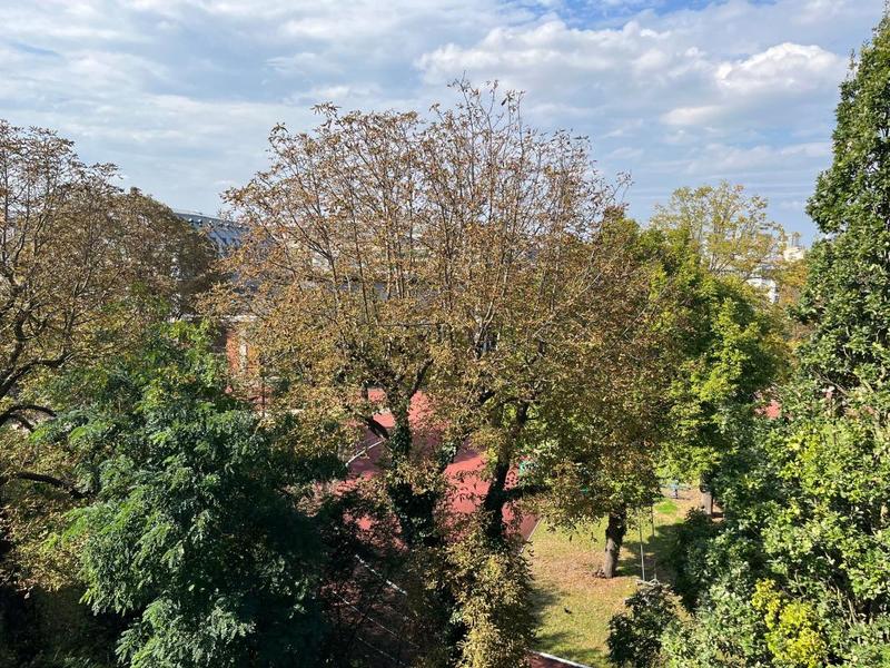 Appartement - 99 m² - 5 pièces