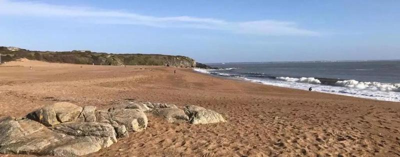 Appartement - 21 m² - 1 pièce