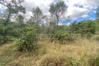 Terrain de loisirs - 8 898 m²