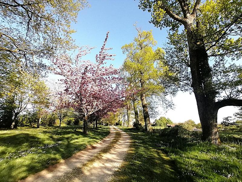 Maison de maîtres - 390 m² - 13 pièces