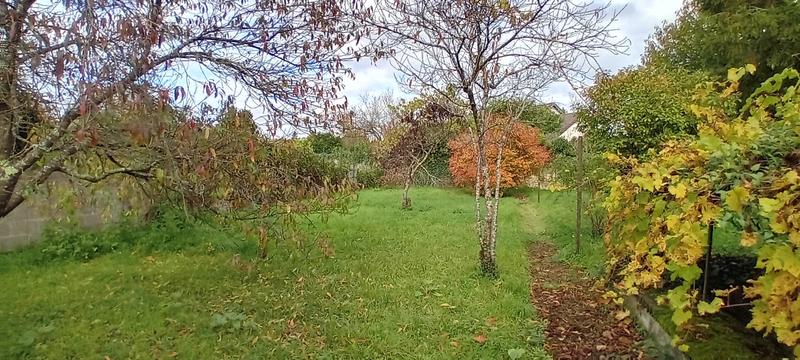 Maison ancienne - 151 m² - 6 pièces