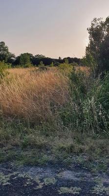 Terrain constructible - 1 465 m²