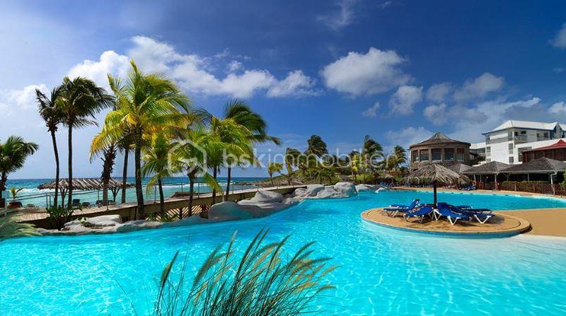 Studio - 19 m² - 1 pièce