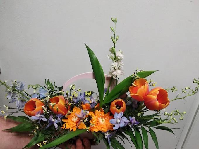 Agapanthe et Compagnie