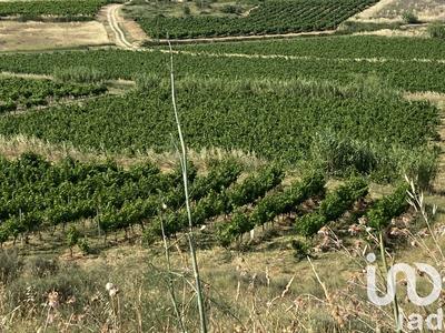 Terrain agricole - 52 610 m²