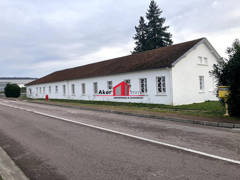 Local d'activités - 590 m² - 8 pièces