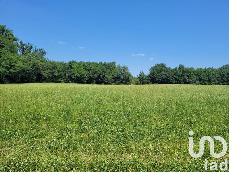 Terrain - 10 724 m²