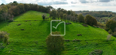 Terrain - 62 315 m²