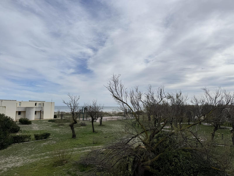 Appartement - 36 m² - 2 pièces