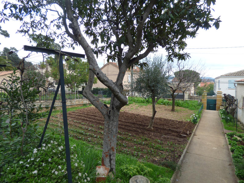 Maison - 233 m² - 5 pièces