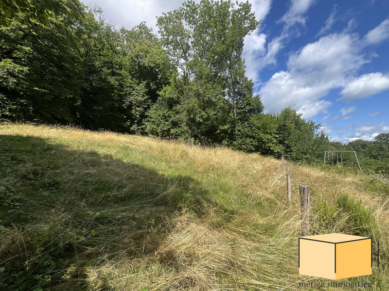 Maison ancienne - 220 m² - 9 pièces