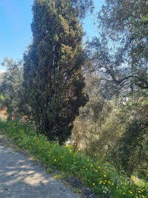 Terrain constructible - 1 161 m²