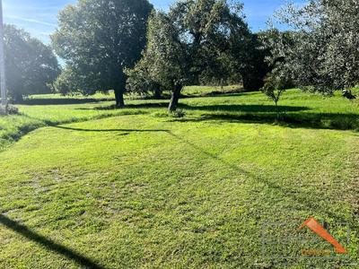 Grange - 147 m² - 3 pièces