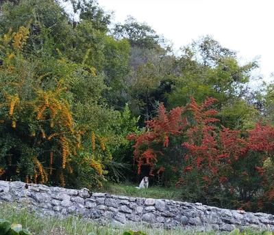 Maison - 79 m² - 4 pièces