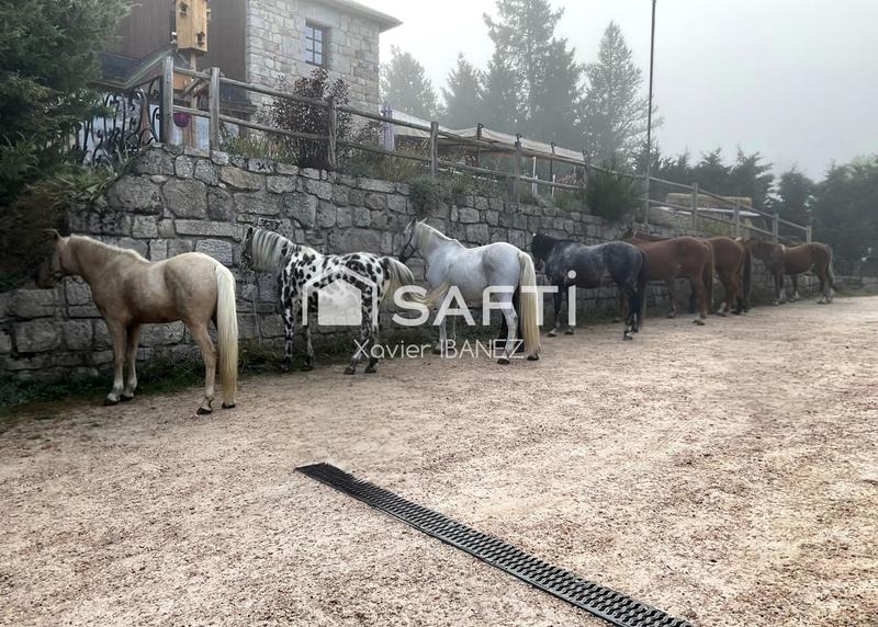 Local commercial - 450 m² - 14 pièces