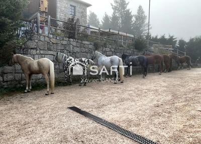 Local commercial - 450 m² - 14 pièces