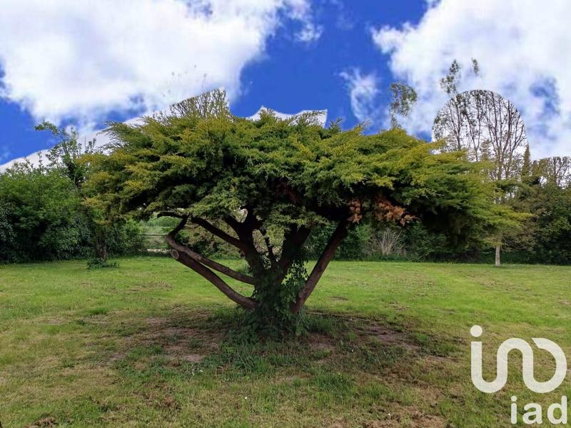 Maison de campagne - 126 m² - 6 pièces