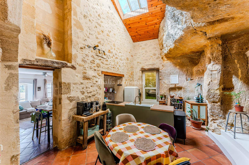 Maison - 318 m² - 9 pièces