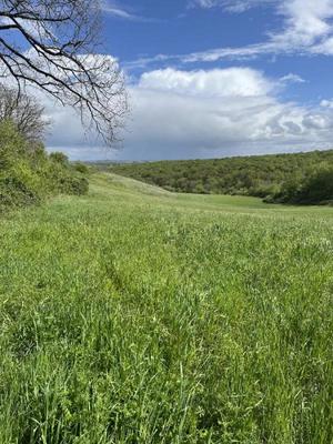 Terrain - 60 000 m²