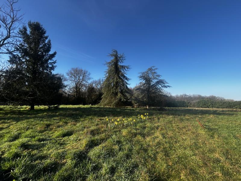 Maison traditionnelle - 134 m² - 6 pièces