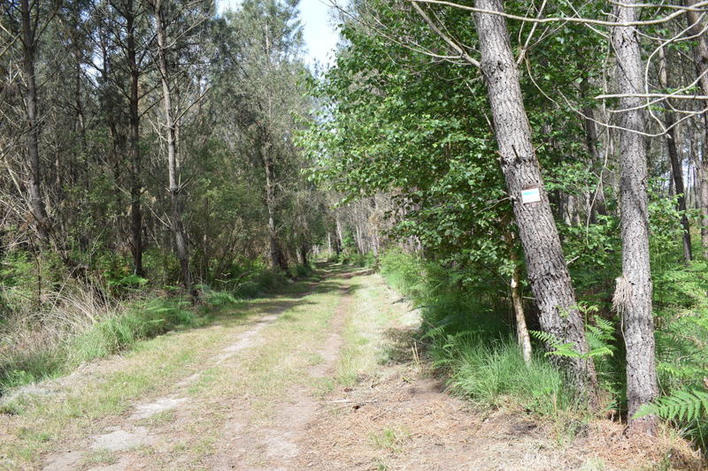 Randonnée commentée  «Histoires de forêt et d’eau»