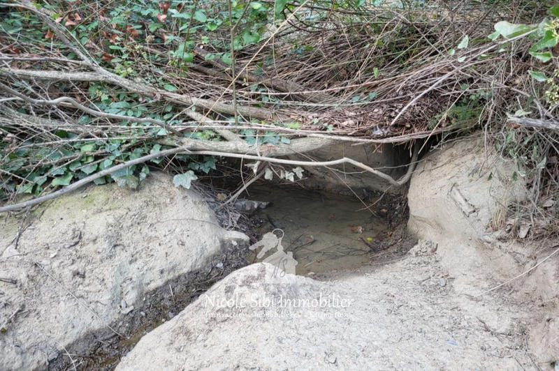 Terrain - 54 574 m²