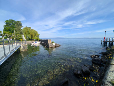 Appartement - 52 m² - 2 pièces