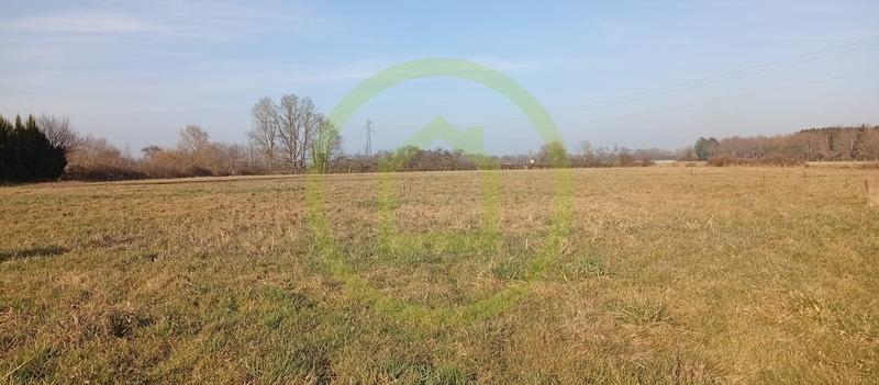 Corps de ferme - 83 m² - 3 pièces