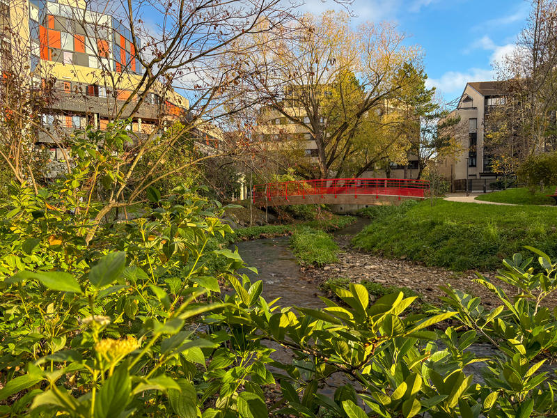 Appartement - 43 m² - 2 pièces