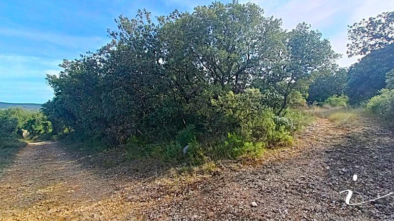 Terrain agricole - 12 250 m²