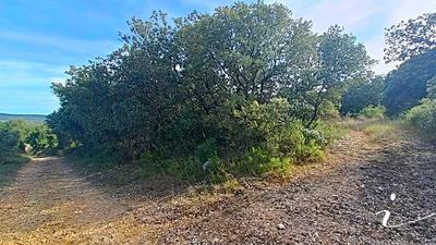 Terrain agricole - 12 250 m²