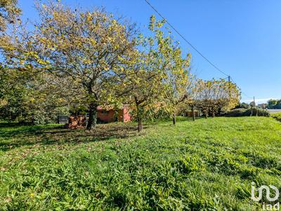 Local commercial - 144 m²