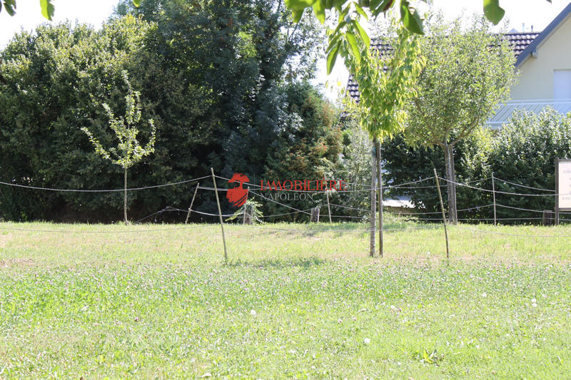 Terrain - 566 m²