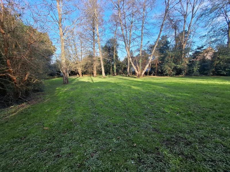 Terrain constructible - 2 000 m²