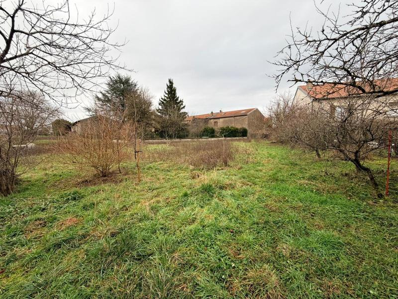Terrain - 1 308 m²