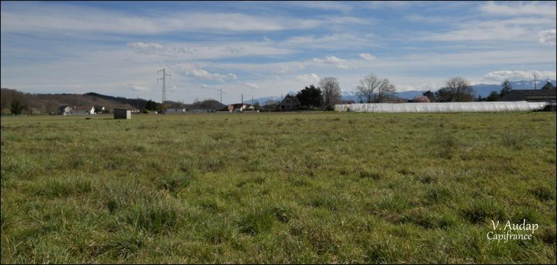 Terrain constructible - 1 231 m²