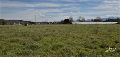 Terrain constructible - 1 231 m²