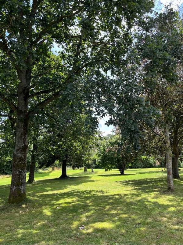 Maison - 345 m² - 10 pièces