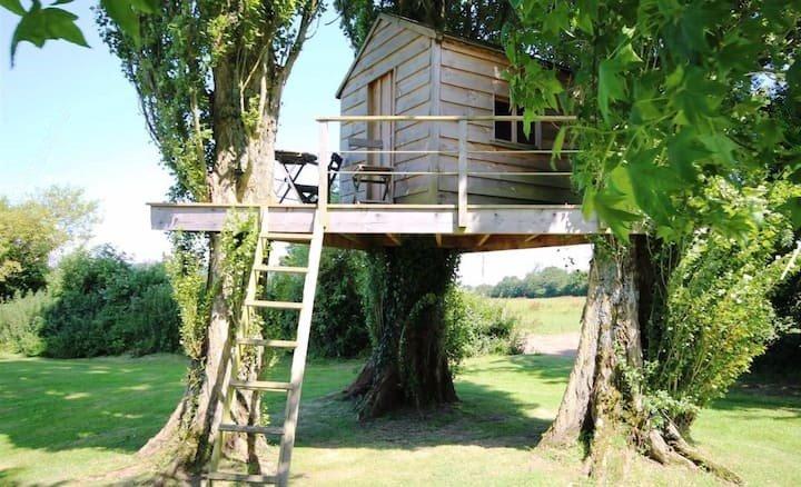 Chaumière - 220 m² - 9 pièces