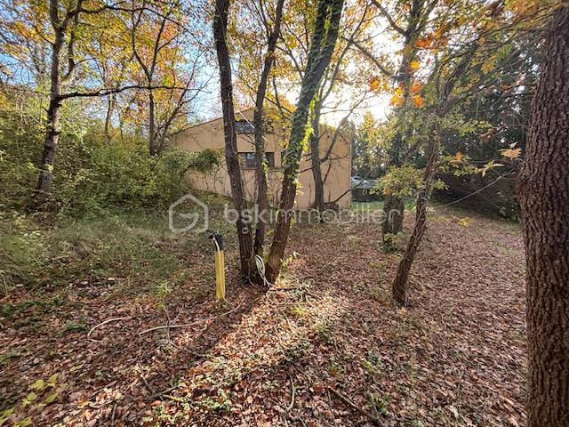 Maison en pierre - 175 m² - 5 pièces