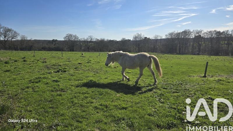 Maison - 236 m² - 7 pièces