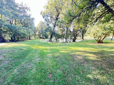 Terrain de loisirs - 9 232 m²