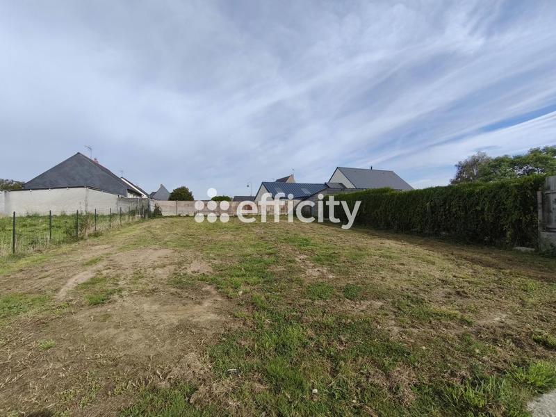 Terrain - 350 m²
