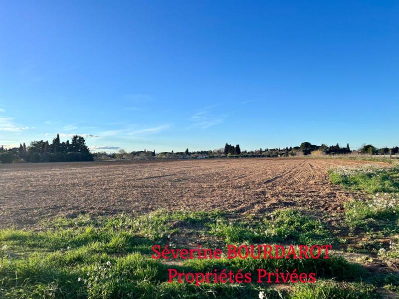 Terrain agricole - 8 000 m²