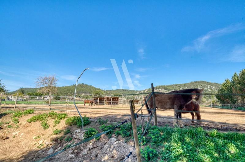 Maison de domaine équestre - 585 m² - 8 pièces