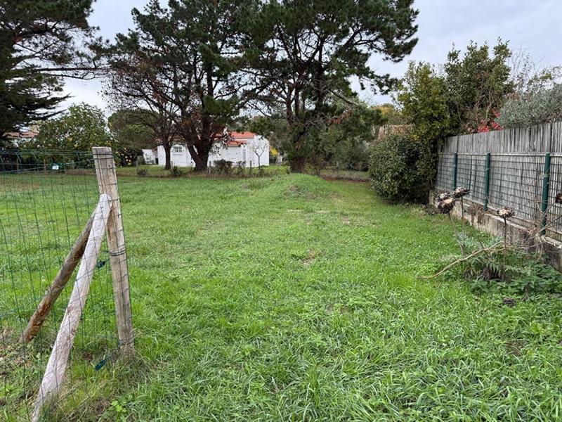 Terrain constructible - 784 m²