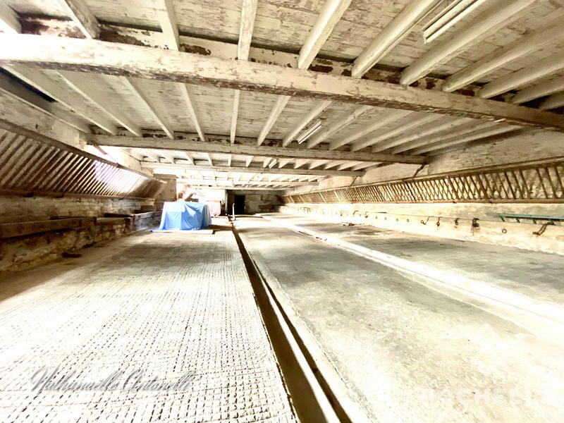 Maison ancienne - 233 m² - 8 pièces